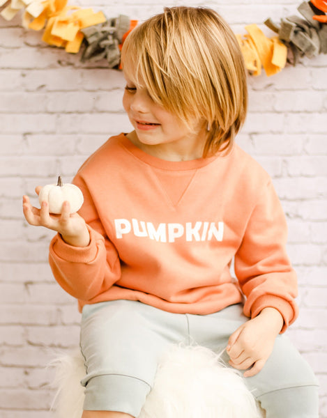 Pumpkin Toddler Fleece Crewneck Pullover Sweater