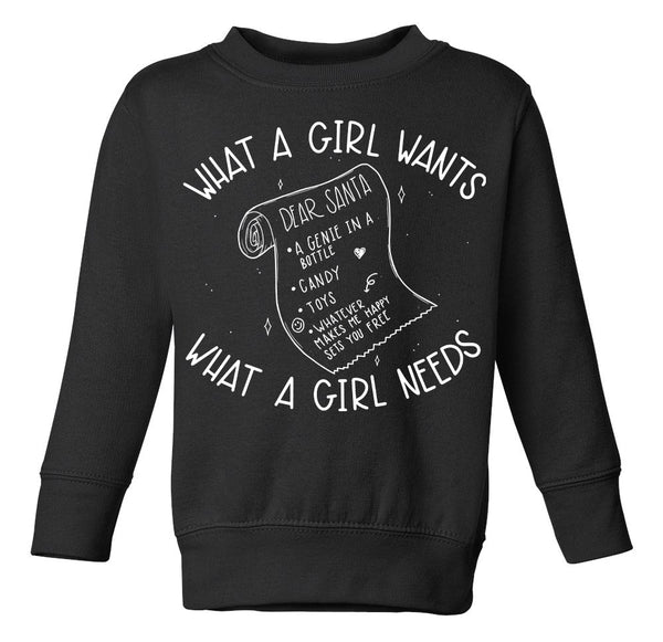 What a Girl Wants Toddler Fleece Crewneck Pullover Sweater