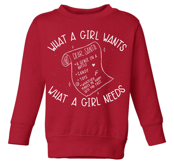 What a Girl Wants Toddler Fleece Crewneck Pullover Sweater